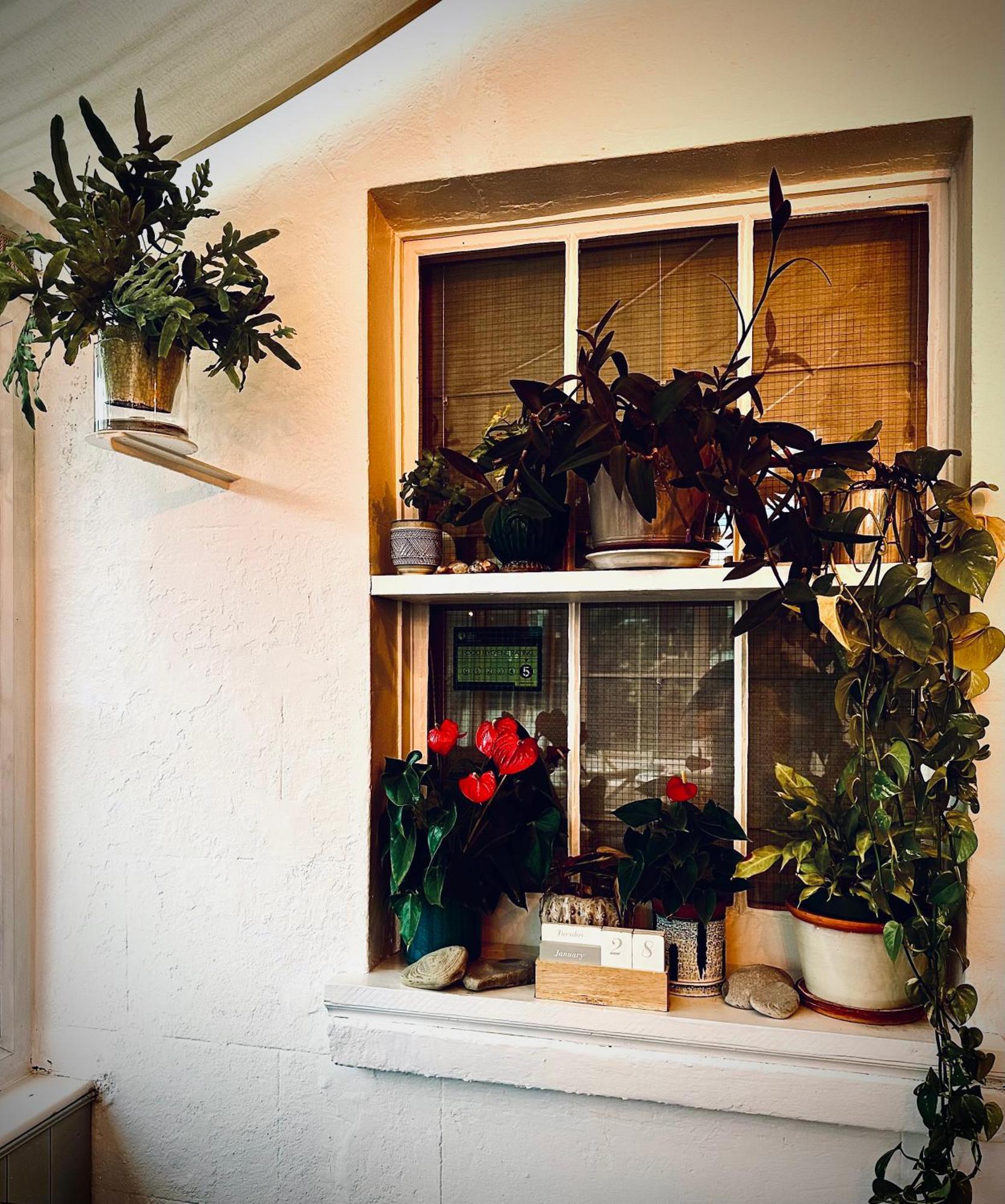 The Laindons Bed and Breakfast Χέιστινγκς Εξωτερικό φωτογραφία